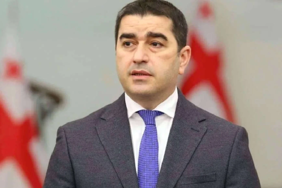 [[Gürcüstan:]] “Aİ və İsveç ekstremizm bazasını maliyyələşdirir”