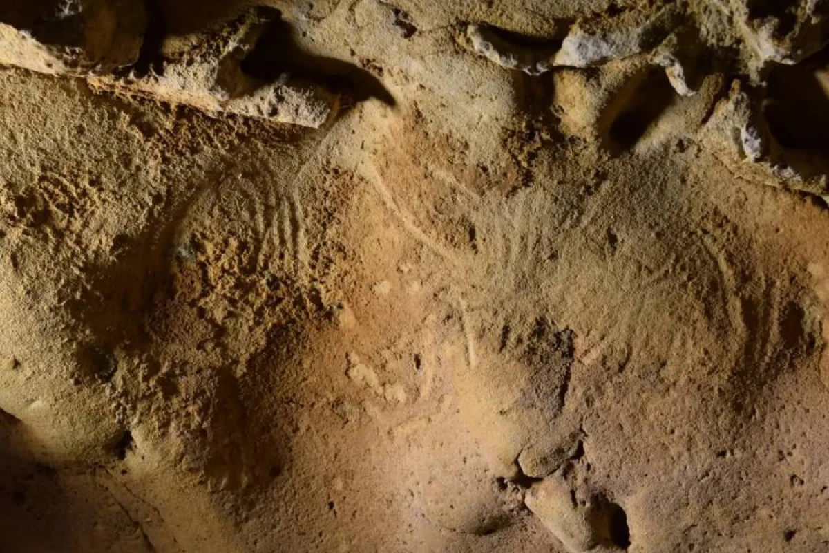 43 min illik Neandertal [[barmaq izi]] tapıldı