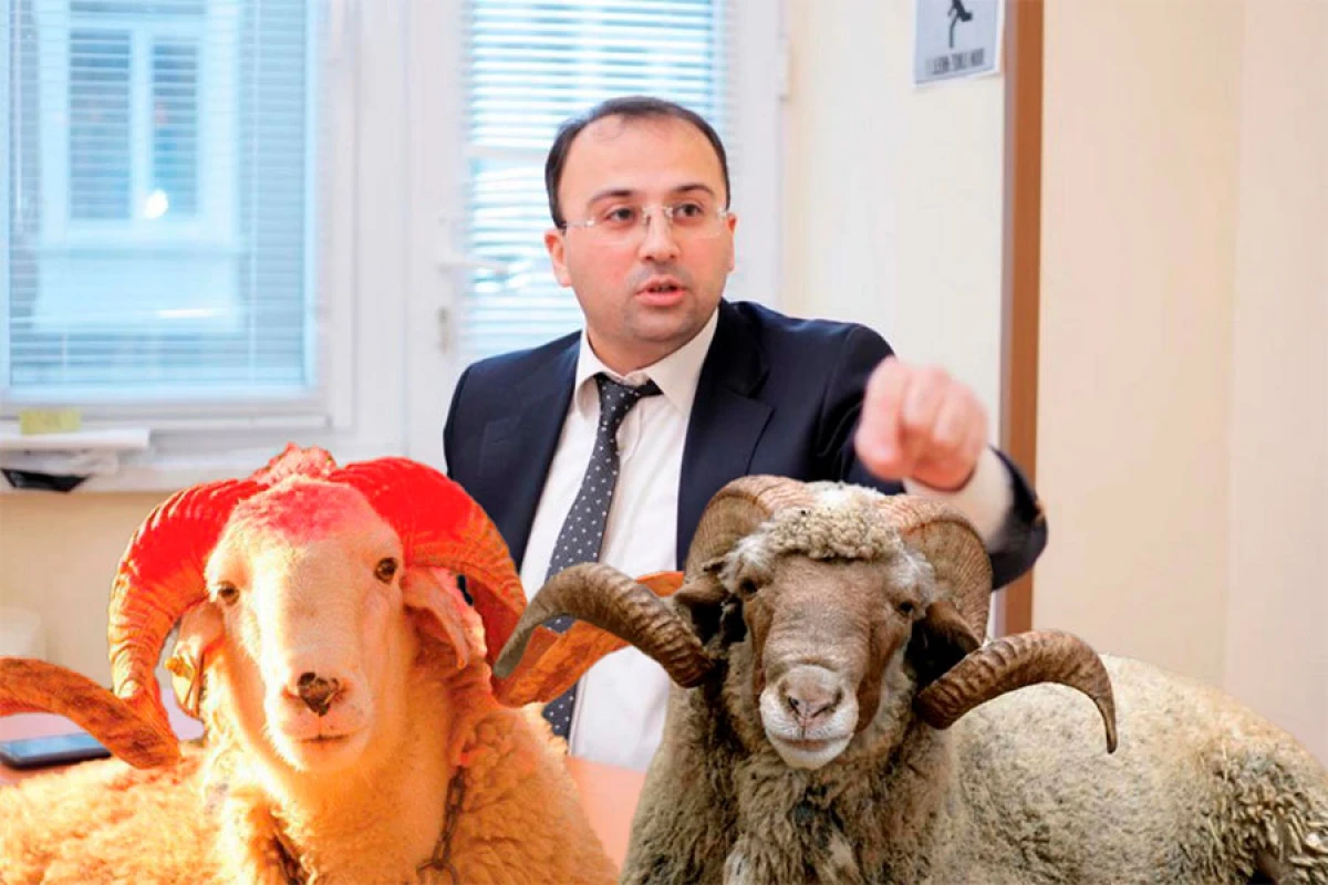 [[Elşad Miri:]] “Qurban kəsmək doğru deyil!”