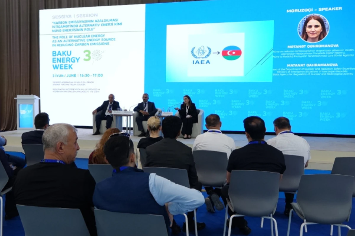 FHN-in nümayəndələri panel sessiyada iştirak etdilər