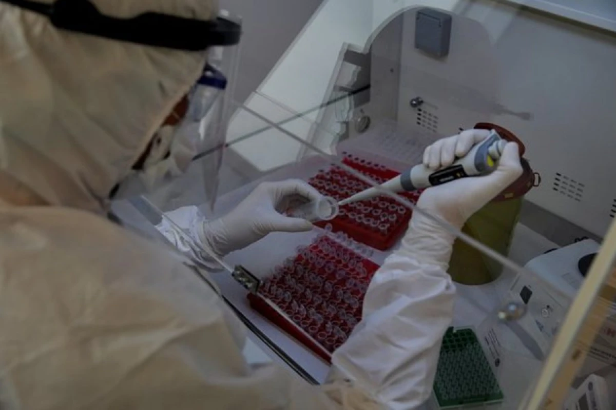 Həyəcan siqnalı: [[Yeni virus yayılır]]