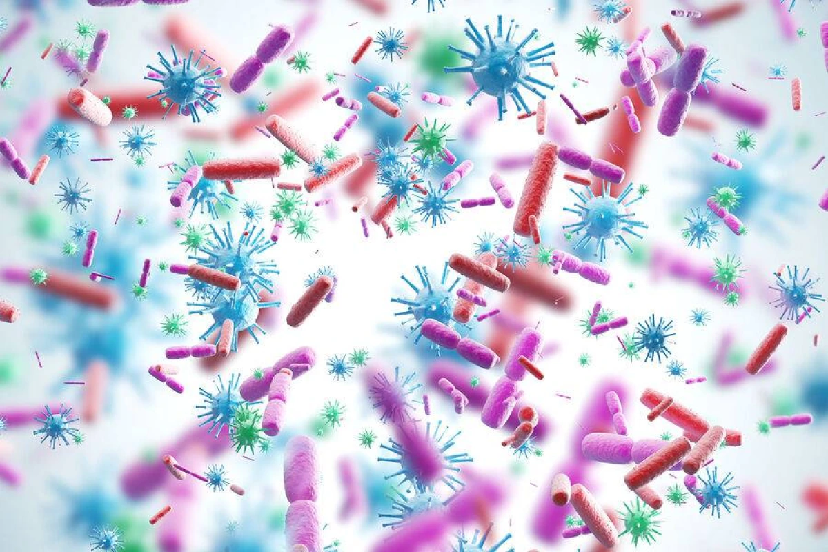 Yeni süni intellekt modeli epidemiyaların yayılmasını proqnozlaşdırır