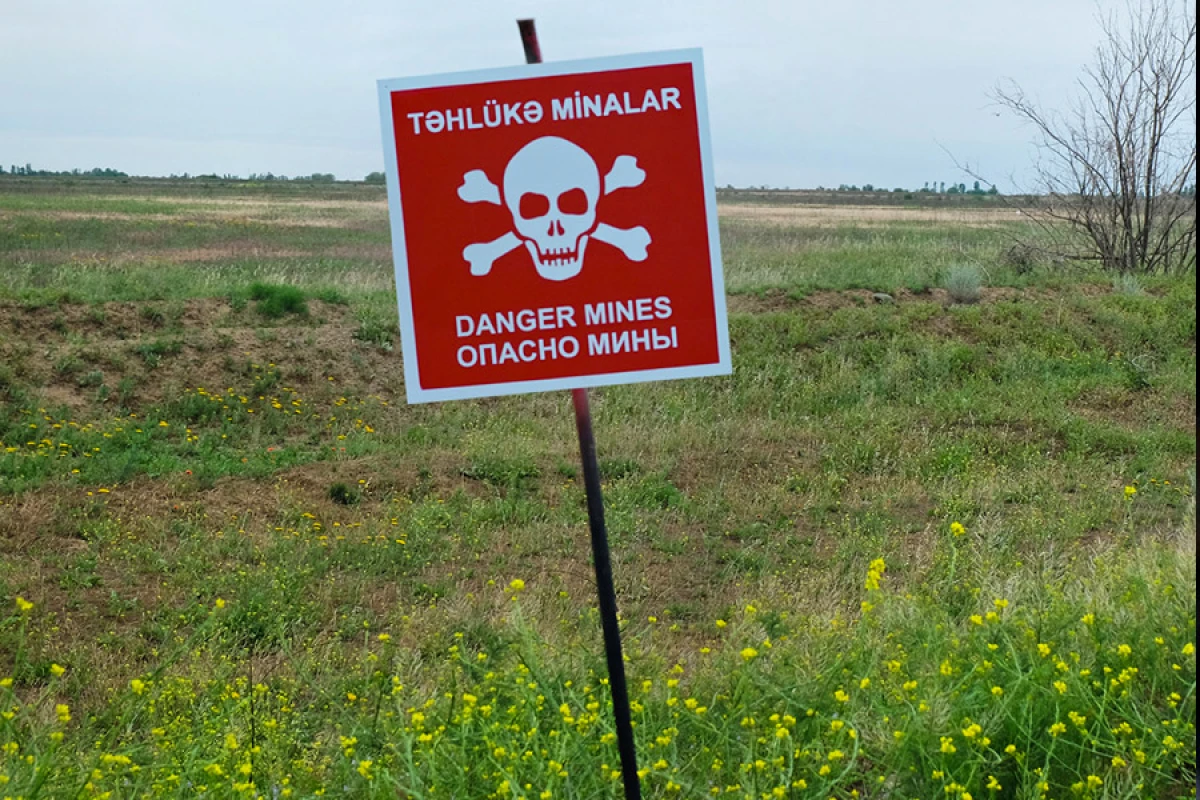 Ötən həftə [[889 ha ərazi]] minalardan təmizlənib