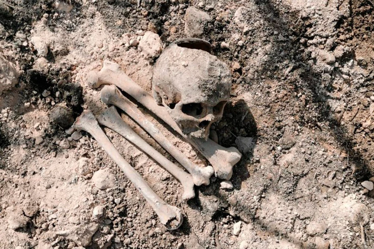 İnsan skeletinə bənzər sümük fraqmentləri aşkar edildi, [[araşdırma aparılır]]