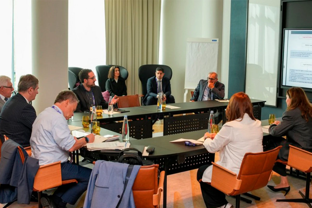 Mikromaliyyə modeli üzrə [[strateji çərçivə]] müzakirə edildi