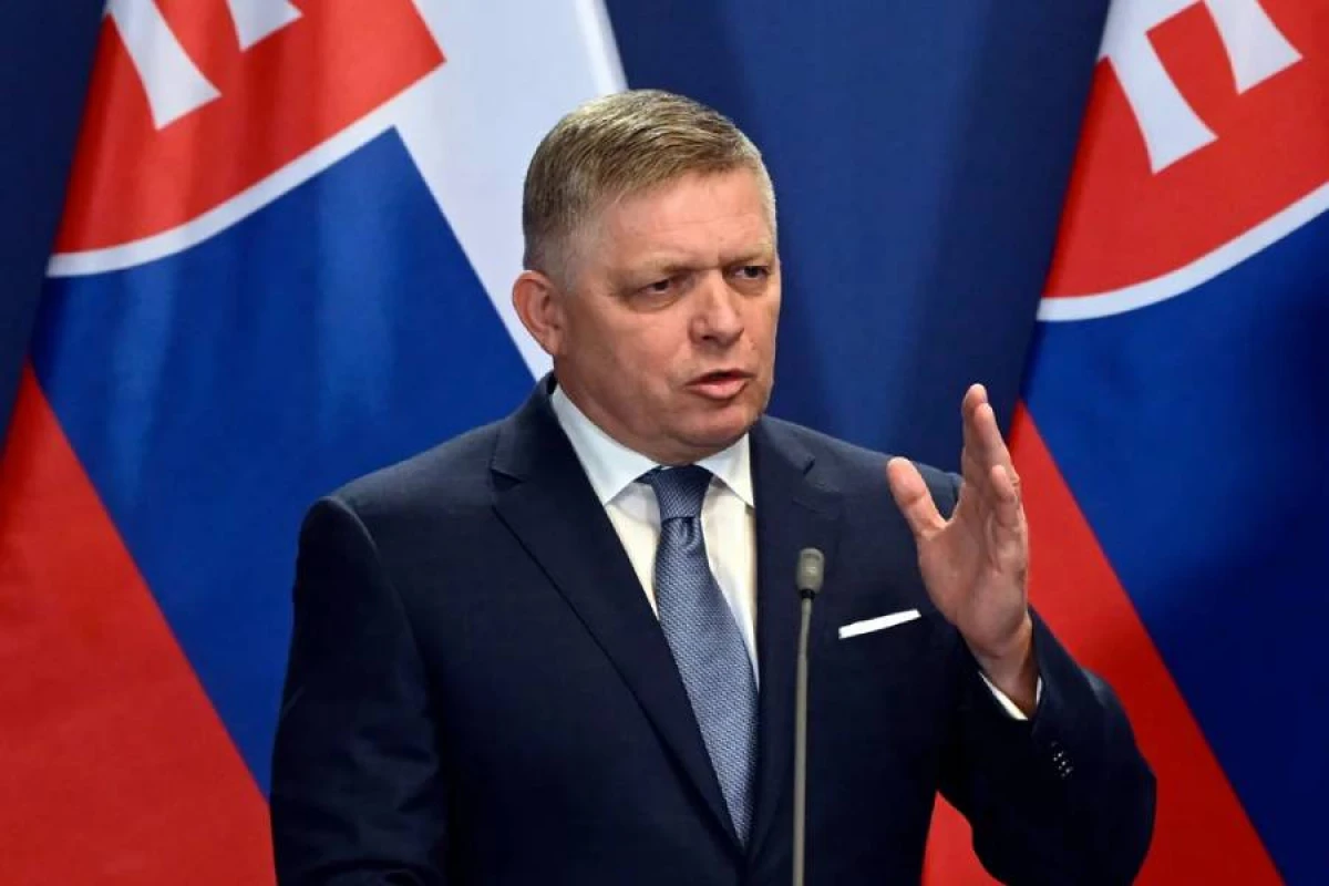 [[Fitso:]] “Hazırkı silahlanma yarışında neytrallıq faydalı olardı”