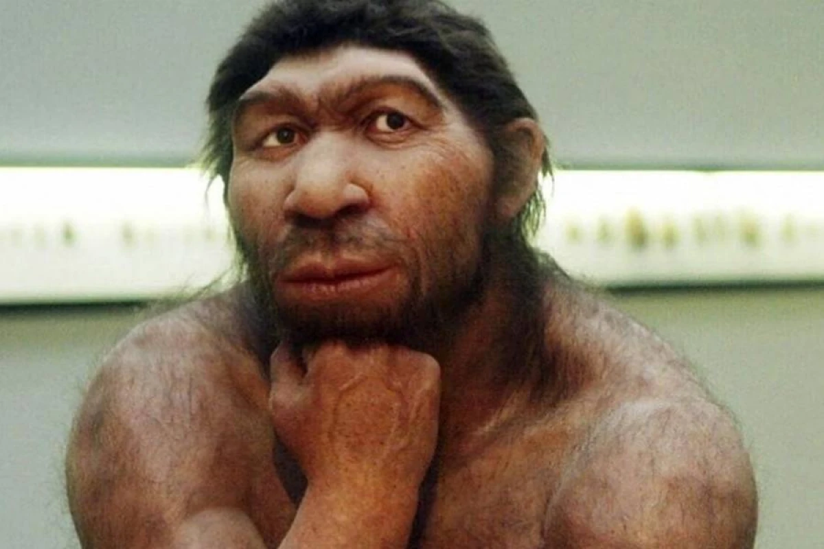 Maqnit sahəsinin zəifləməsi [[neandertallara]] necə təsir edib?