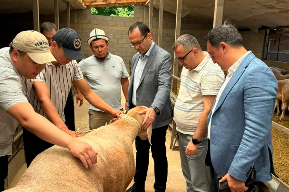 Məcnun Məmmədov [[Qırğız Respublikasında]] rəsmi səfərdədir