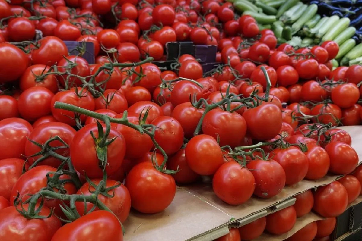 ABŞ Meksika pomidorlarına [[yeni tarif tətbiq edəcək]]