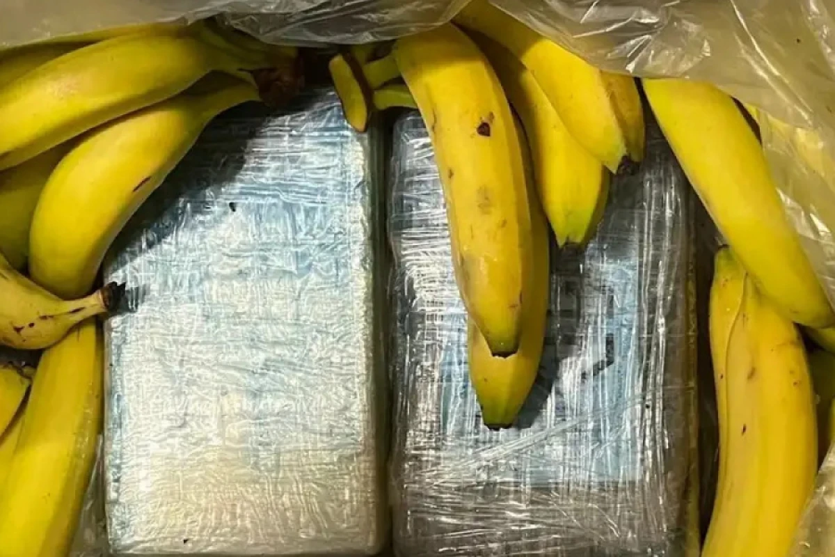 Danimarkada [[kokainli banan ticarəti]] genişləndi