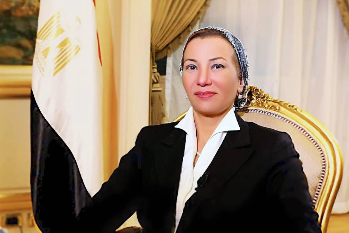 Misirin ekologiya naziri istefa verdi