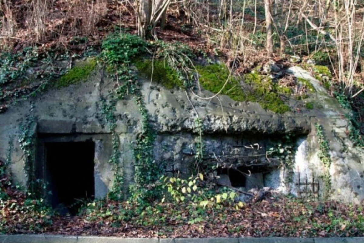 İsveçrə [[köhnə bunkerləri]] istifadəyə qaytarır