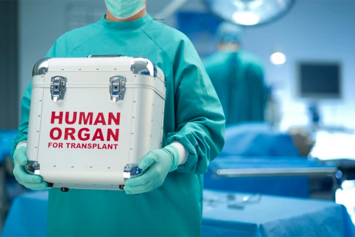 Orqan köçürülməsi üçün [[növbədə olanların sayı]] açıqlandı