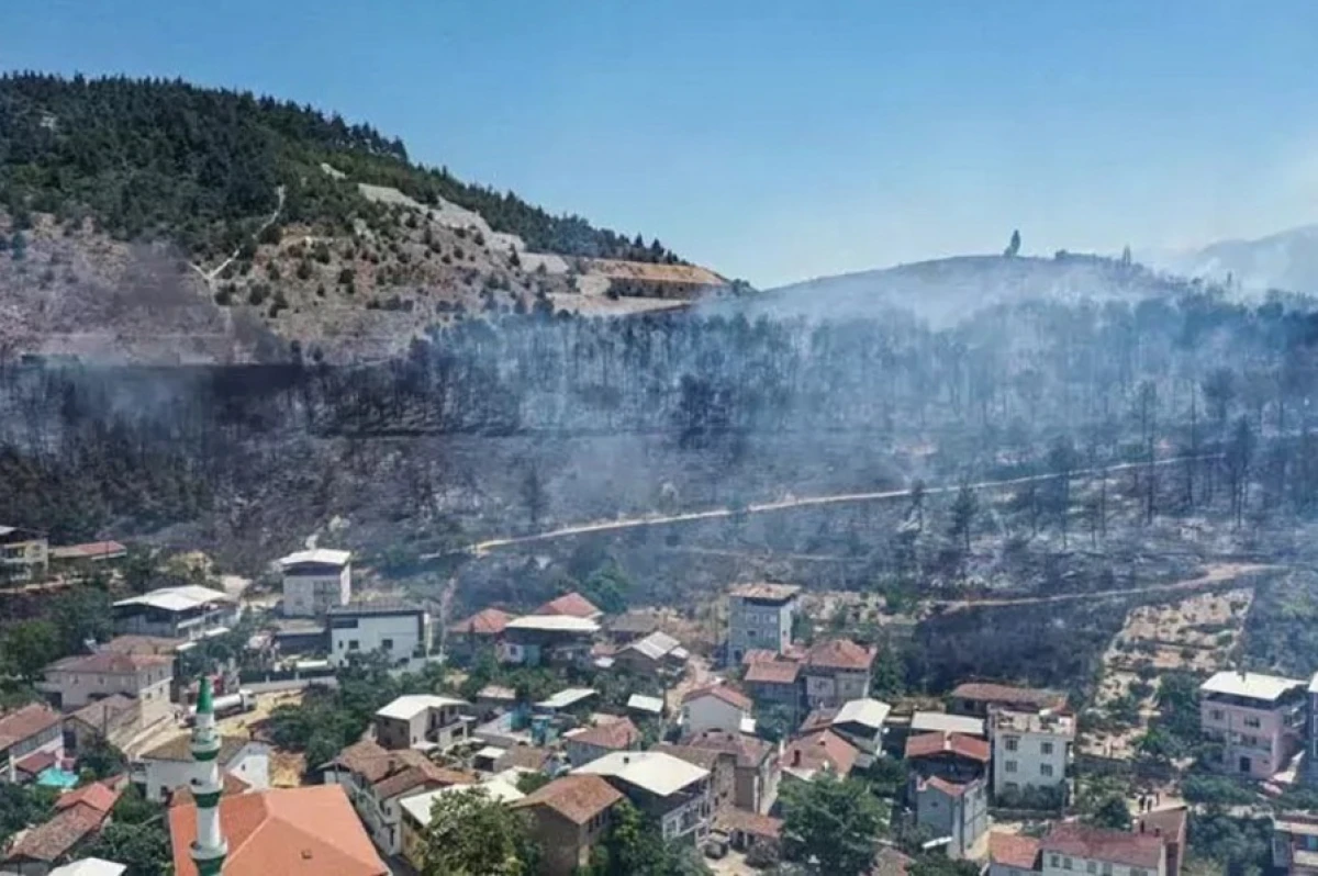 [[Türkiyədə]] meşəlik ərazidə yanğın başladı