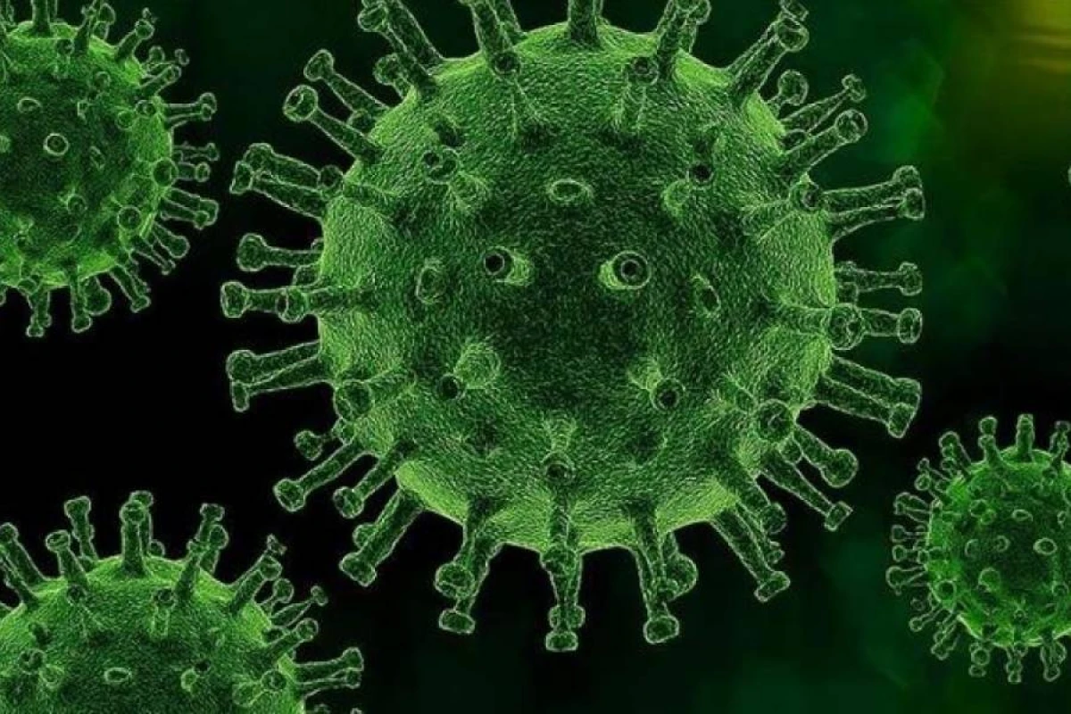 Çində "chikungunya" virusuna yoluxma halları [[7 mini keçdi]]