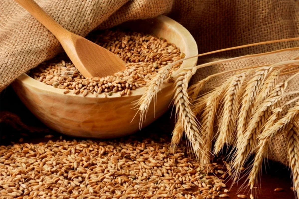 Rusiya [[buğda, arpa və qarğıdalı üçün ixrac rüsumlarını]] ləğv edir
