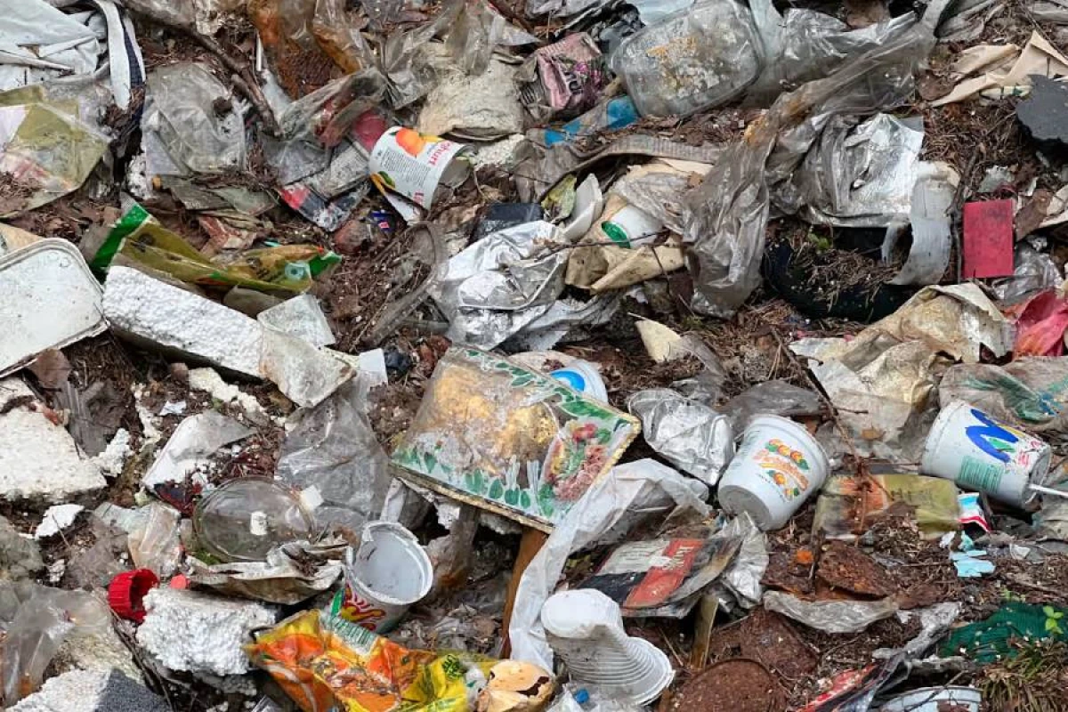 Qlobal plastik sazişi üzrə kompromis təklifi irəli sürüldü