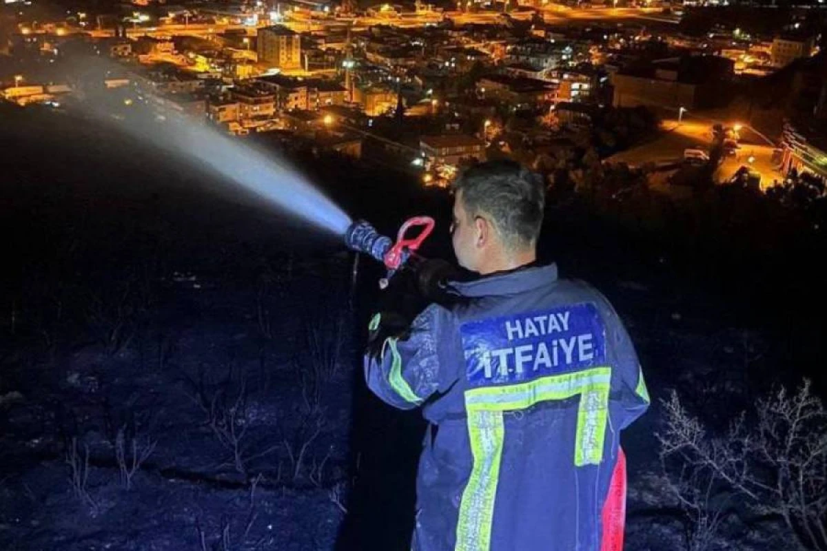 Türkiyədə meşəlik ərazidə yanğın nəzarətə alındı