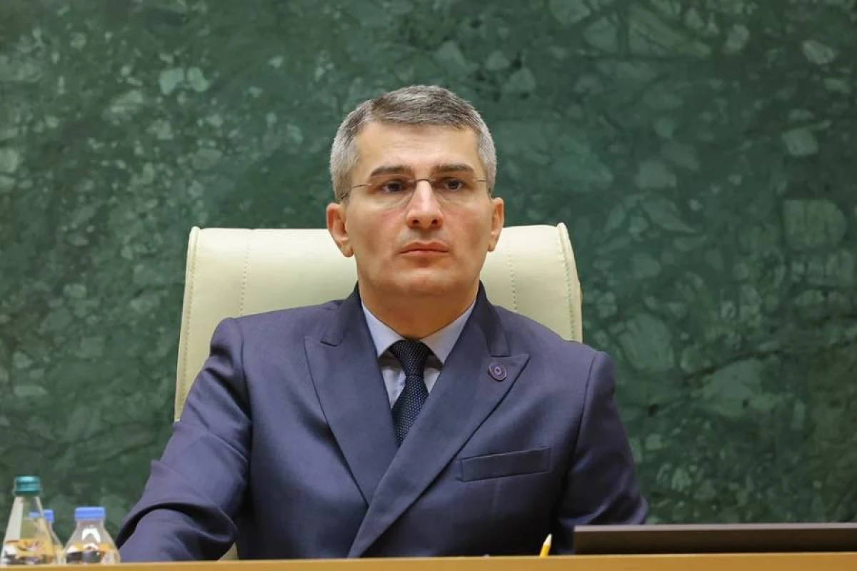 Gürcüstan DTX-ya yeni rəhbər təyin olundu