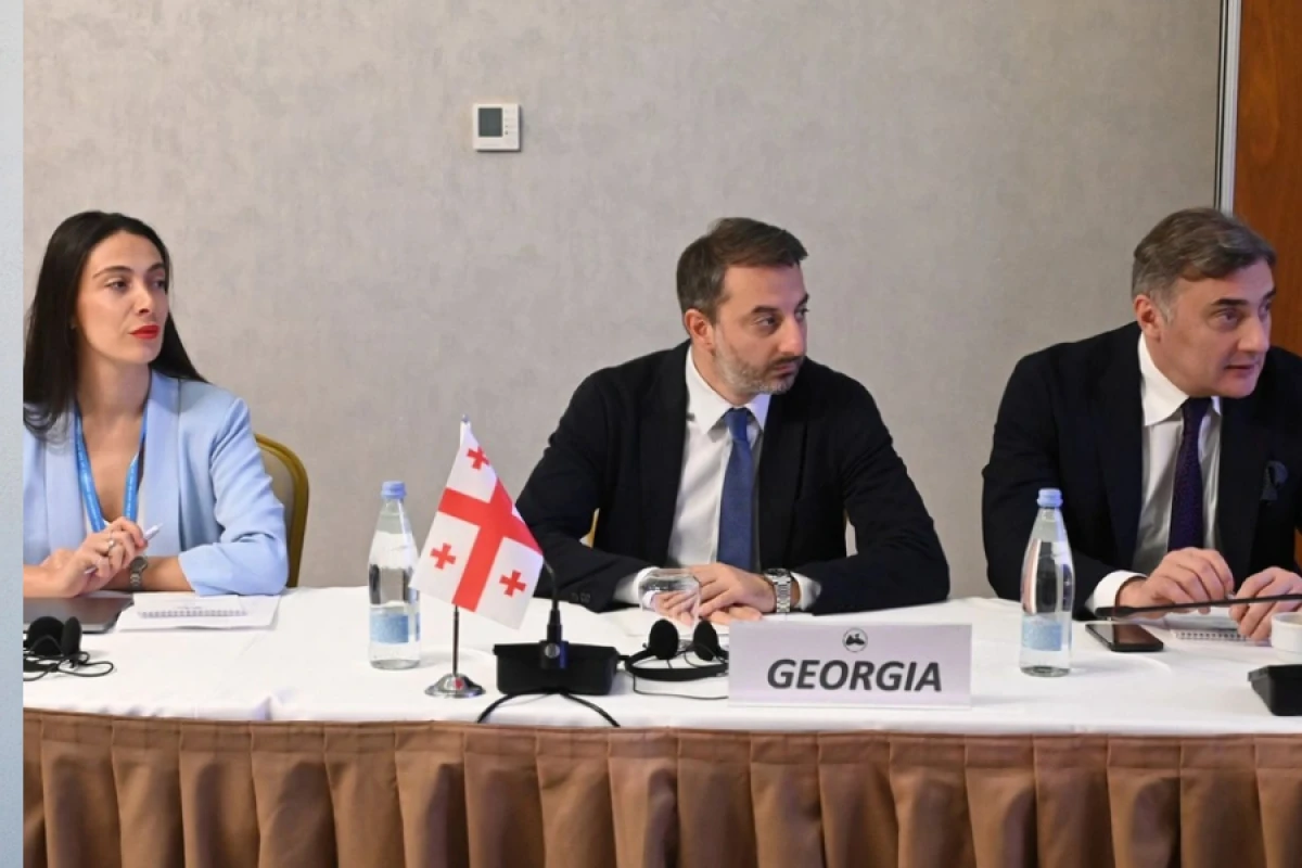 [[Qara dəniz]] regionunda süni intellektin rolu müzakirə edildi
