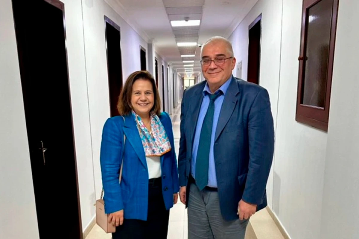 [[Araz Əzimov]] Hakan Fidanın müavini ilə görüşdü