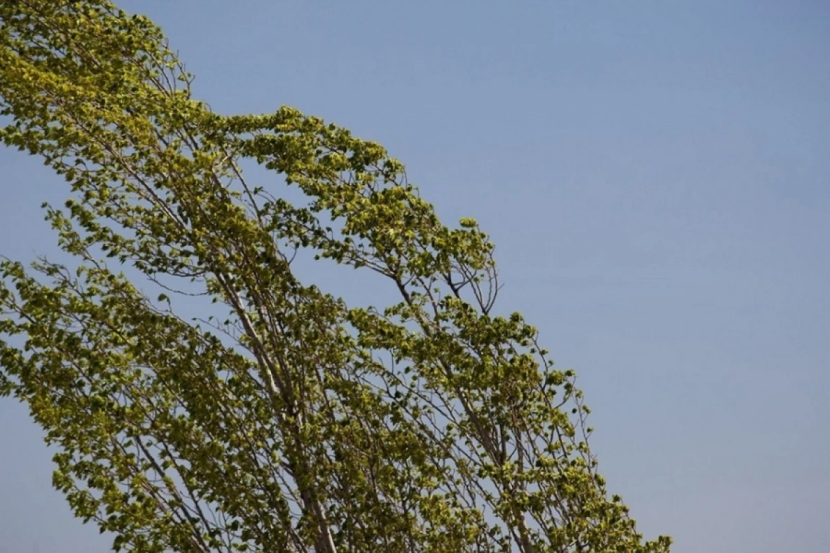 Küləkli və yağıntılı hava şəraiti müşahidə olunur - [[Faktiki Hava]]
