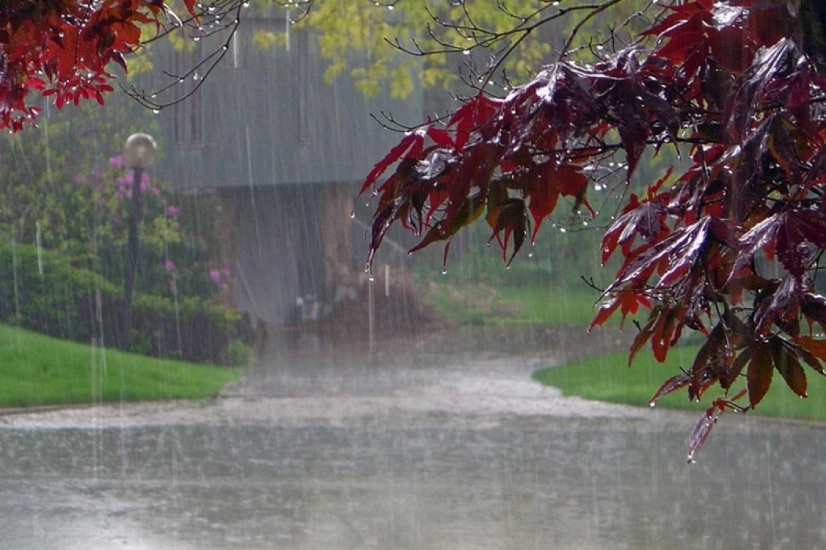 Noyabrda yağıntıların miqdarı normadan çox olacaq [[- AYLIQ PROQNOZ]]