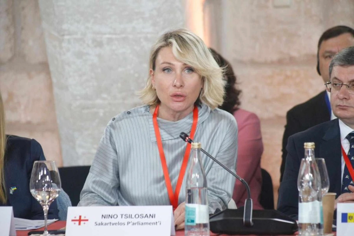 [[Tbilisi]] erməni deputatların addımına etiraz etdi