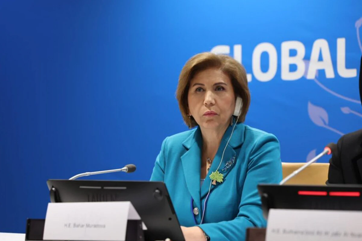 [[Komitə sədri:]] "Qanunvericilik aktları ailədaxili zorakılıqdan əziyyət çəkənlərin müdafiəsinə şərait yaradıb"