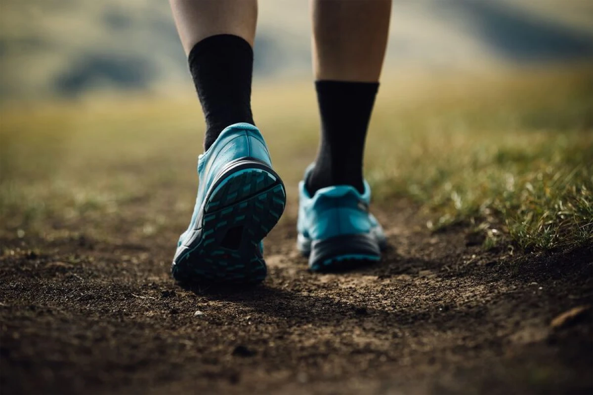 Yerimək beynin səslərə reaksiyasını [[gücləndirir]]