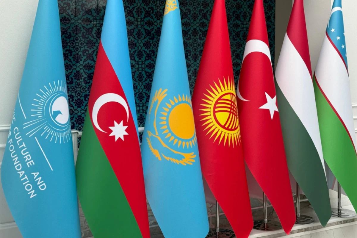 TDT-nin veb-saytı bütün üzv ölkələrin [[ana dillərində istifadəyə verildi]]