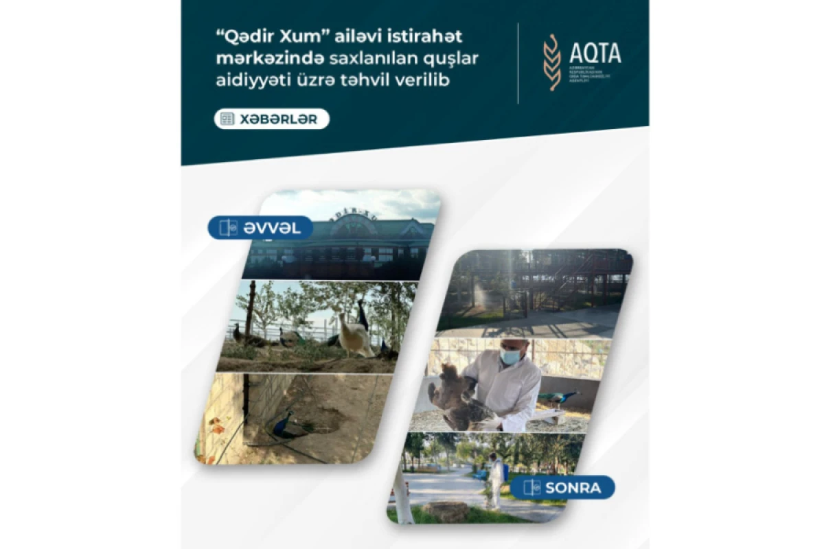 “Qədir Xum” ailəvi istirahət mərkəzində saxlanılan quşlar [[aidiyyəti üzrə təhvil verildi]]