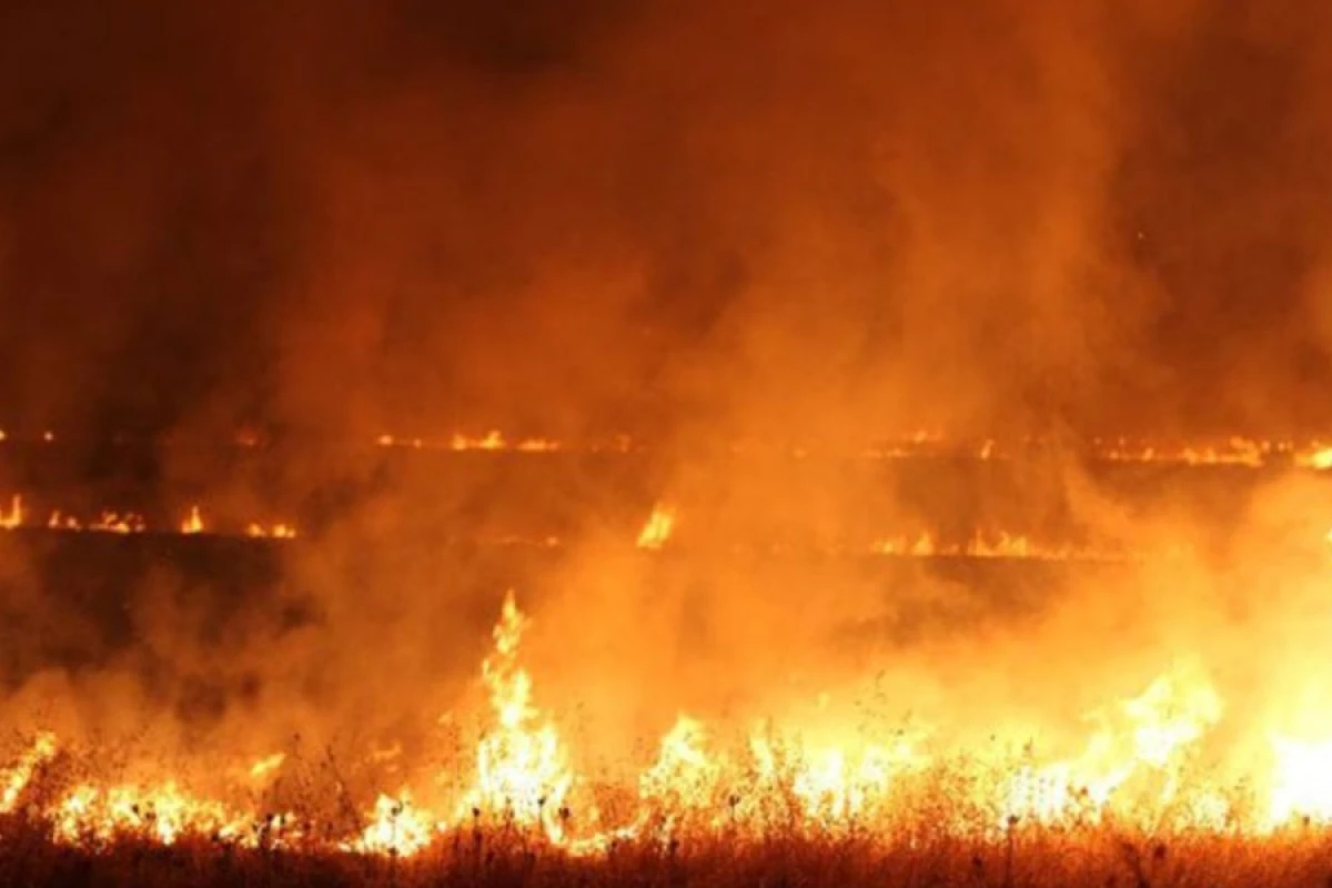 [[Politoloq:]] "Sərhəddəki yanğın revanşist qrupların işidir"