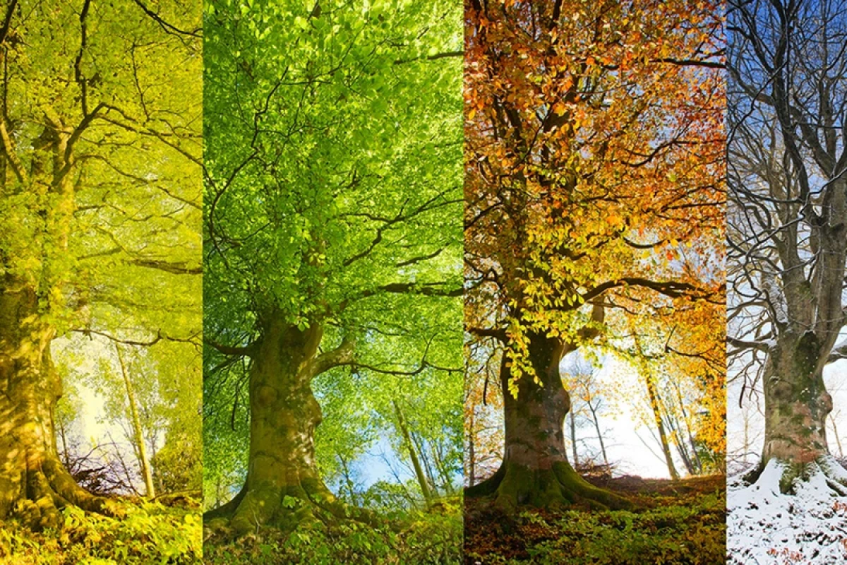 Gələn il fəsillərin Azərbaycana [[daxilolma vaxtları]] açıqlandı