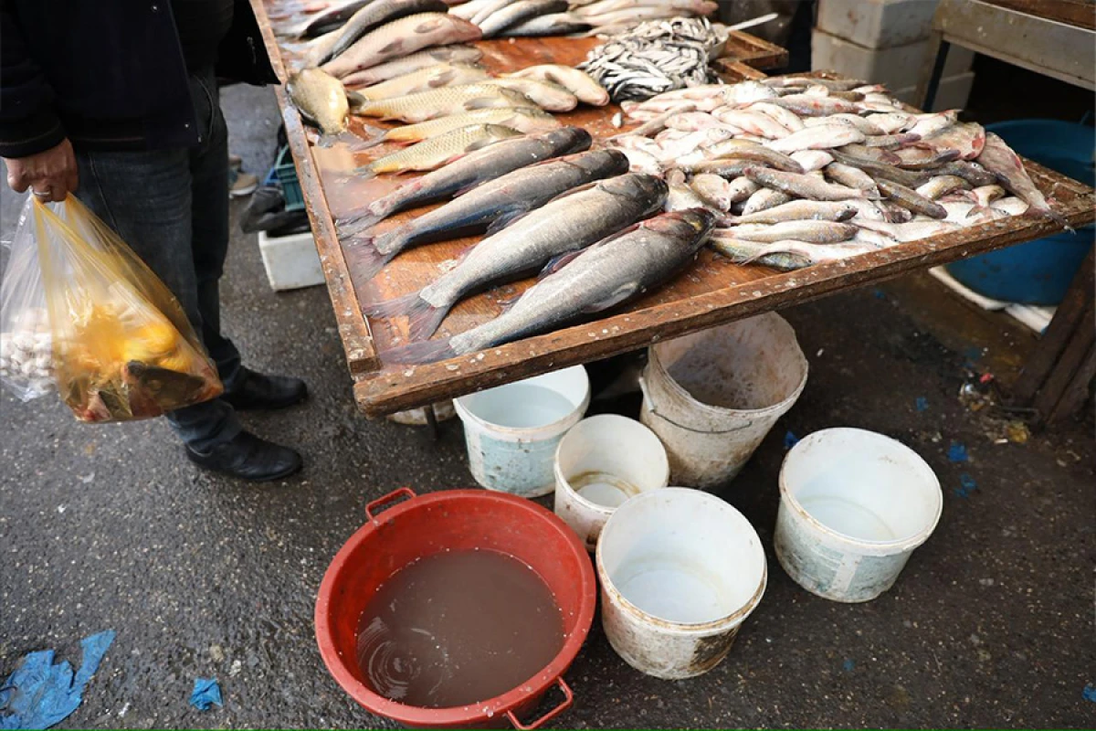 “8-ci kilometr” bazarında antisanitar vəziyyət [[- Ciddi sağlamlıq riskləri]]