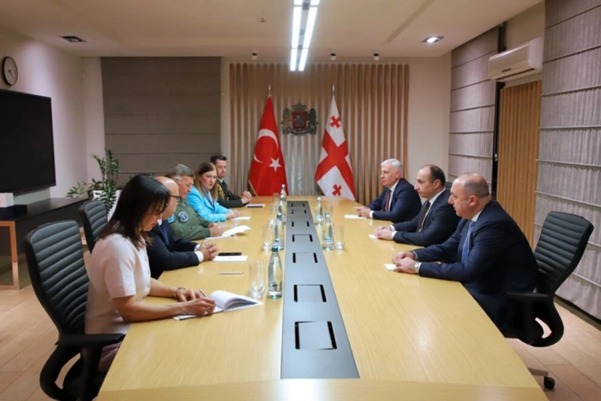 Geka Geladze [[türkiyəli generalla]] təyyarə qəzasını müzakirə etdi