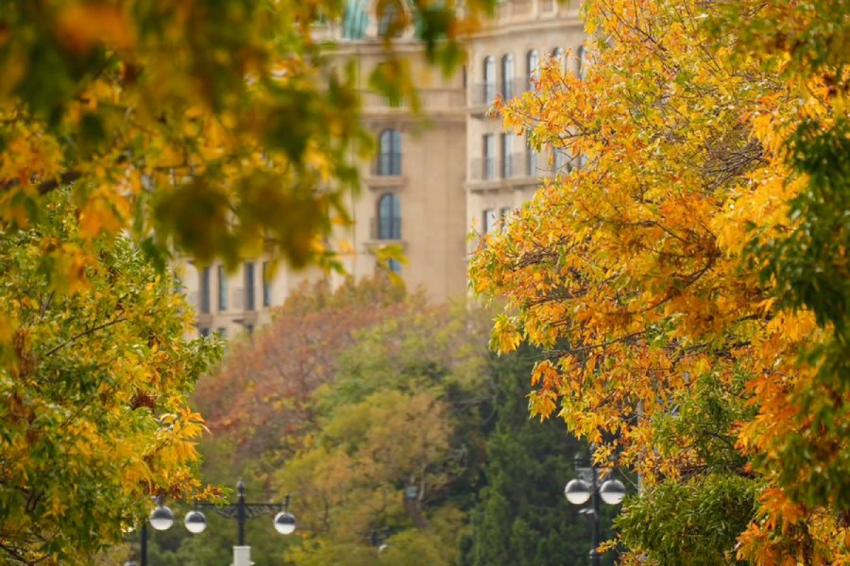 Sabah hava necə olacaq? [[- PROQNOZ]]