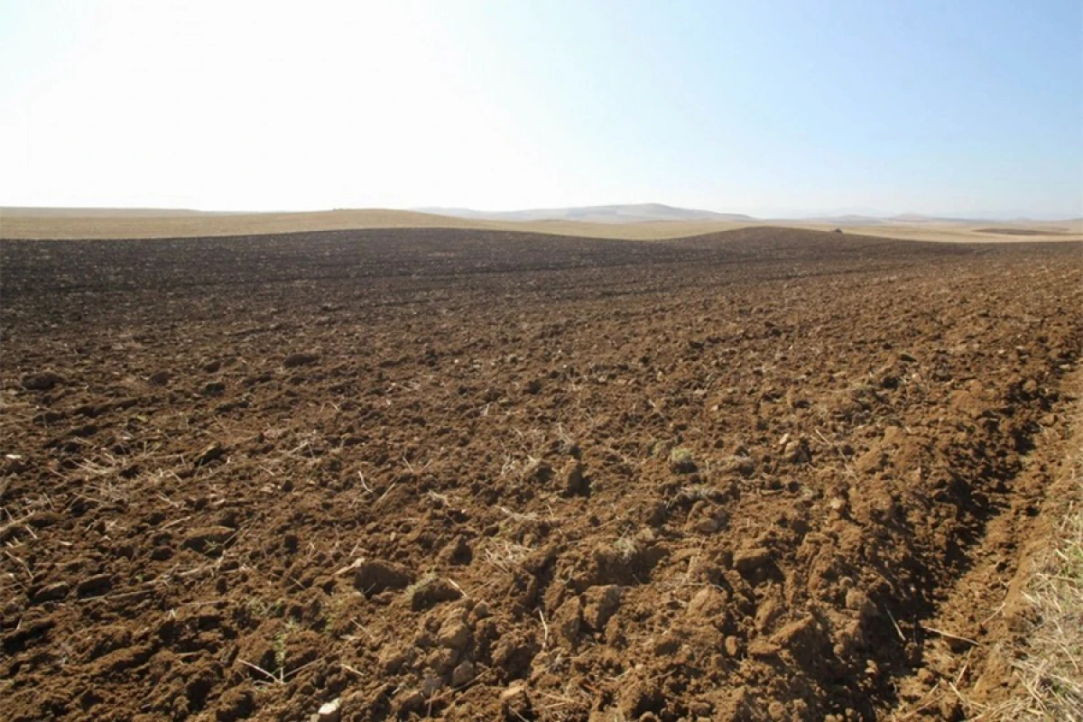 Növbəti [[torpaq hərracları]] elan edildi