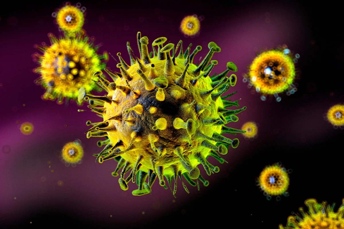 Qazaxıstanda [[kəskin virus infeksiyası]] artır