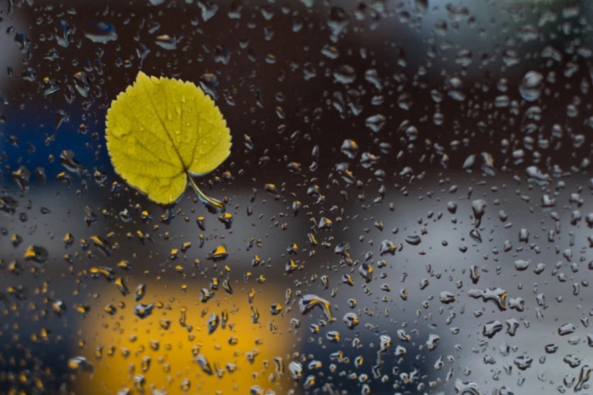 Hava şəraiti yağıntılı olacaq [[- XƏBƏRDARLIQ]]