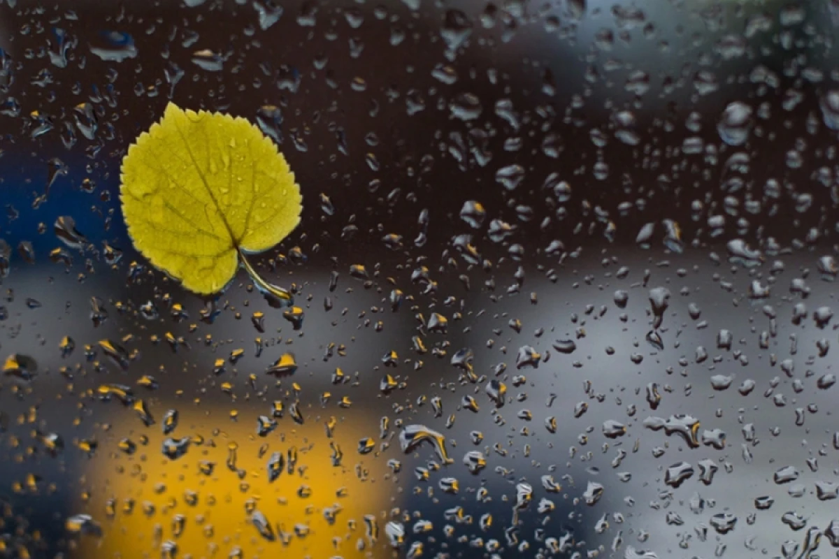 [[Faktiki hava]] açıqlandı