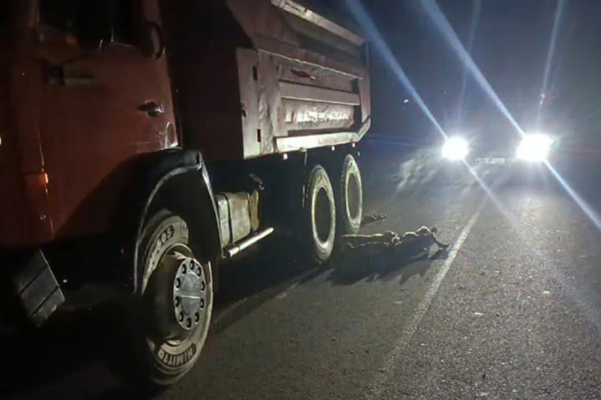 Salyanda yük maşını qoyun sürüsünü vurdu- [[Heyvanlar tələf oldu]]