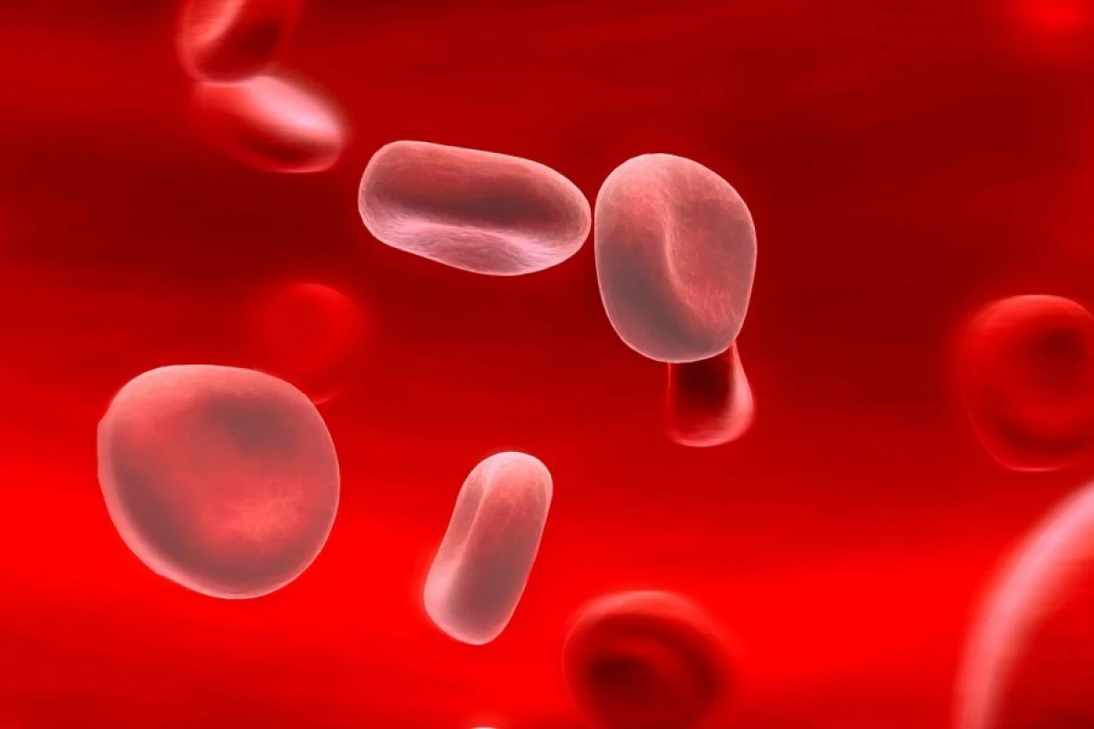 Dəmir çatışmazlığına [[səbəb nədir?]]