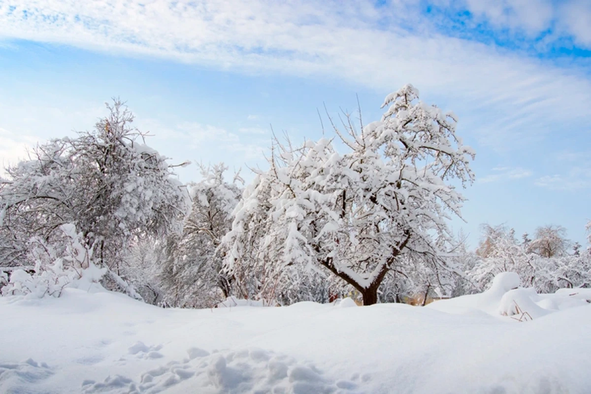 Kəlbəcər, Laçın, Qubadlı və Şahdağa qar yağır [[- FAKTİKİ HAVA]]