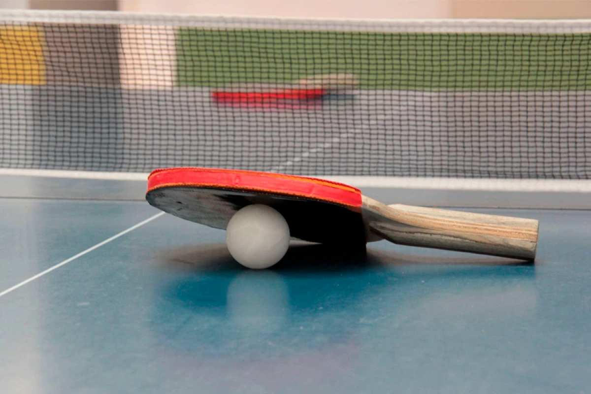 Məşqçi turnirdə [[öz oğlunu]] döydü