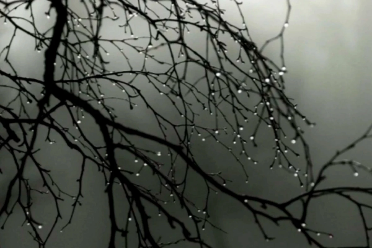 Yağış yağacaq – [[PROQNOZ]]