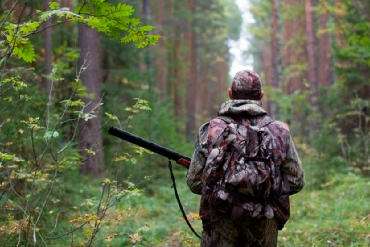 Sabahdan Azərbaycanda [[ov mövsümü açılır]]