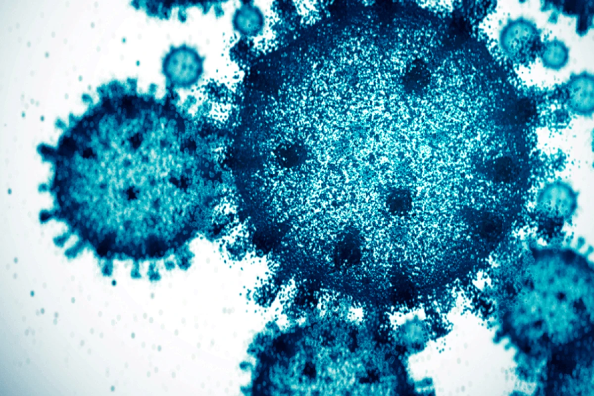 Bağırsaq bakteriyaları müasir qidalara sürətlə uyğunlaşır