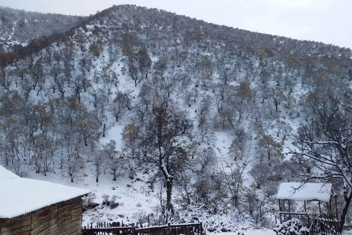 Şənbə günü bəzi rayonlara qar yağacaq [[- PROQNOZ]]