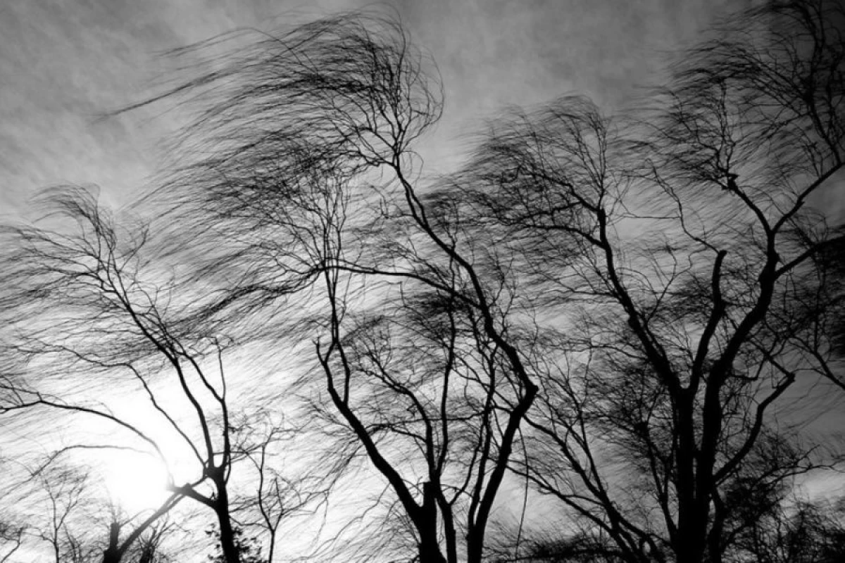 Güclü külək nə vaxta kimi [[əsəcək?]]